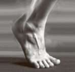 tendon_aquiles_thumb_a